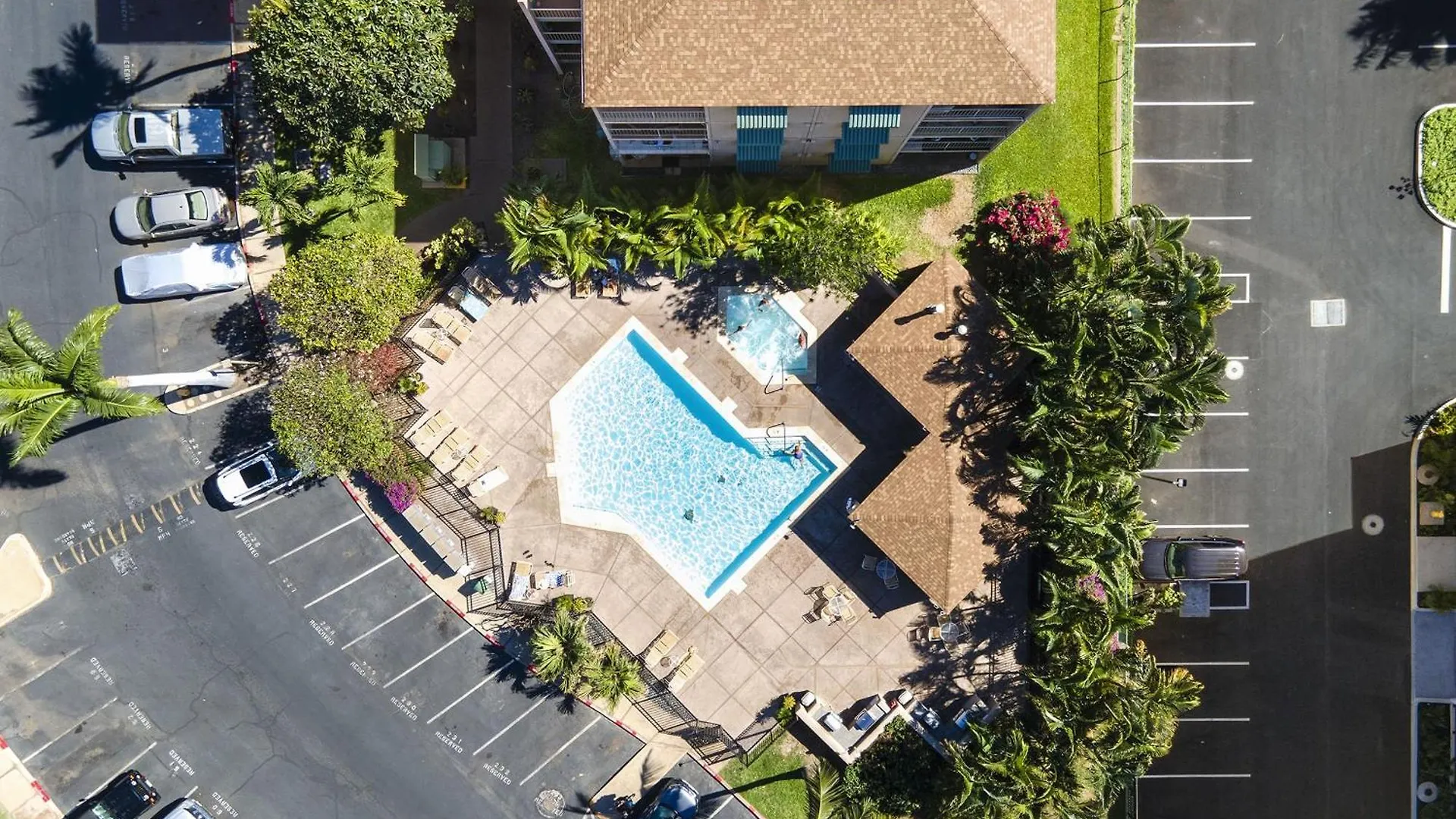 Pacific Shores B-409 - Beautifully Renovated Ocean View, 2 Bd / 2 Ba, Split Ac! Kihei